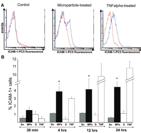 Figure 1. Plaque MPs augment ICAM-1 levels on endothelial cells. A, Representative flow cytometry  fluores-cence histogram showing the presence of ICAM-1 on endothelial cells exposed for 24 hours either to plaque MPs (3000 AnnV " MPs/!L) or TNF-" (10 ng/mL).