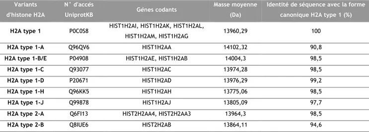 Tableau  1 :  récapitulatif  des  différents  variants  et  isoformes  canoniques  de  la  famille  d’histone  H2A  caractérisés chez l’Homme