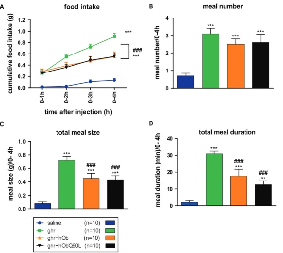 Figure 2. Effect of native (hOb) and Q90L obestatin (hObQ90L) on ghrelin-induced (Ghr) cumulative food intake and meal pattern in high responders C57BL/6 mice