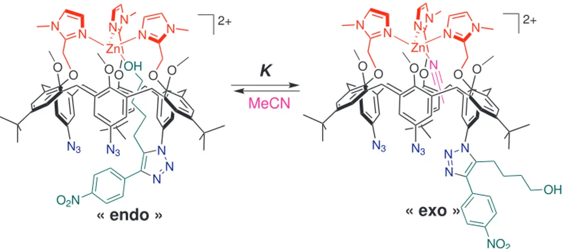 Figure 2.27 – Équilibre entre les formes « endo » et « exo » du complexe [Zn·M NO