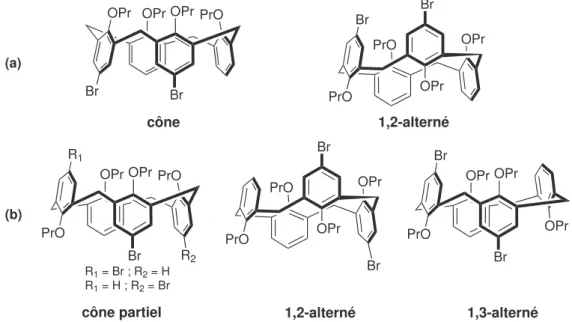 Figure 1.19 – Les six conformères du tétra-O-propyl-para-1,2-dibromocalix[6]arène. (a) Confor- Confor-mations achirales, (b) conforConfor-mations chirales.