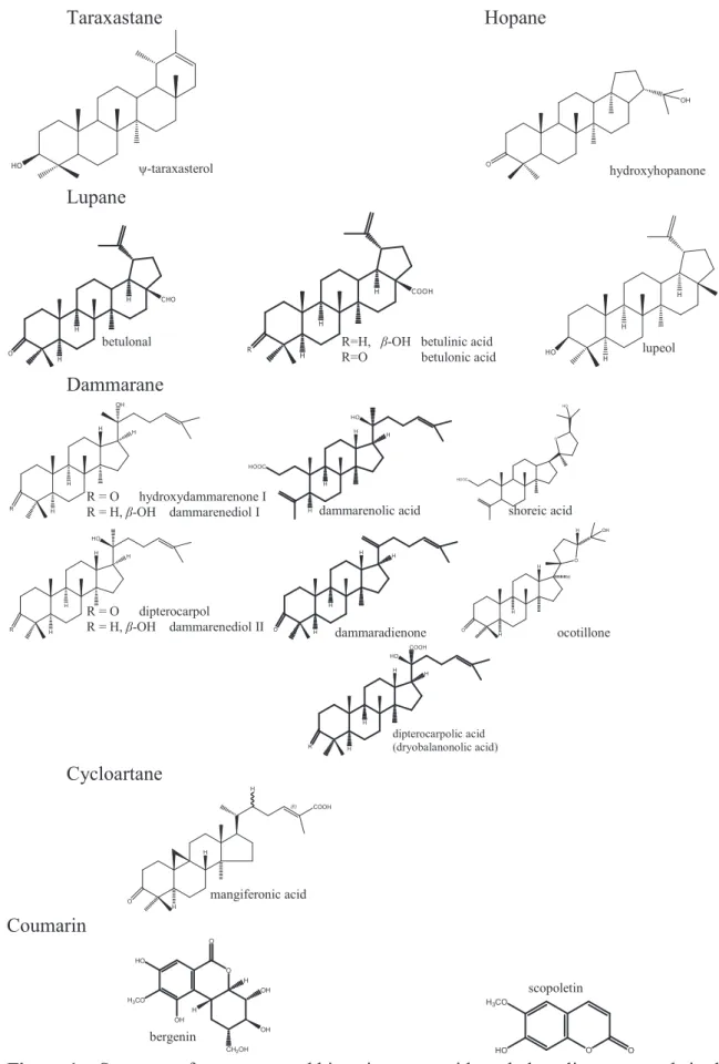 Figure 1.   Structure of some reported bioactive terpenoids and phenolic compounds in the 