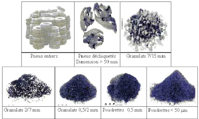 Figure I.17 : Différents demi-produits issus des pneus usagés I.9.6 La dévulcanisation