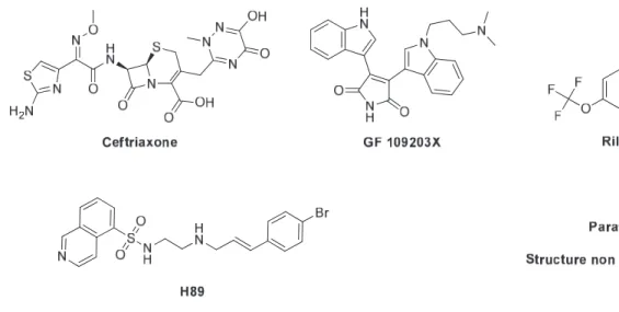 Figure II-8 : Structures chimiques de certains activateurs des EAATs 