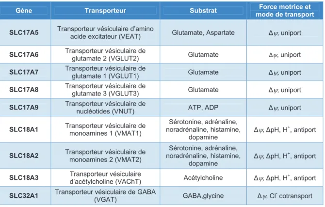 Tableau III-1 : Transporteurs Vésiculaires de Neurotransmetteurs d’après Omote et al. 129