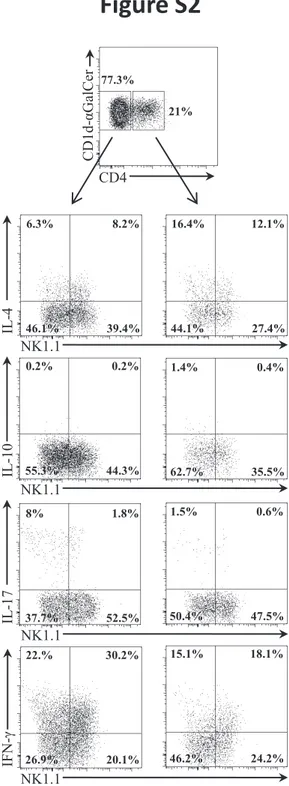 Figure  S2.  Characterization  of  iNKT  cell  subsets  from  donor  mice.  Cytokine  analysis  by  intracytoplasmic staining of iNKT cell subsets