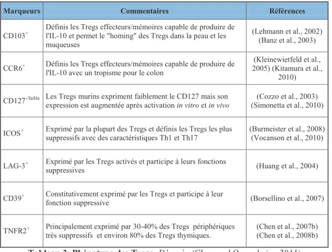 Tableau 3: Phénotype des Tregs. Daprès (Chen and Oppenheim, 2011) 