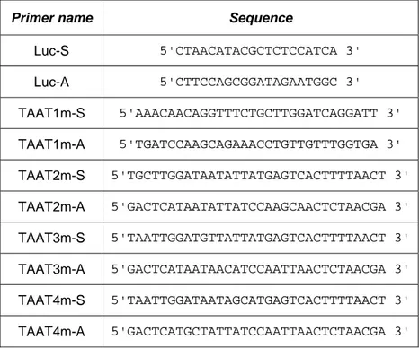 Table 1 – Sequences of sense and anti-sense primers used for TAAT targeted mutation. 