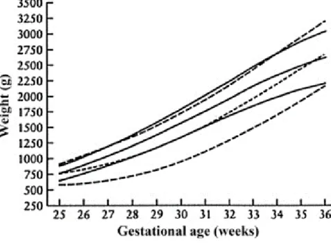 Figure  2.2  Comparaison  entre  courbe  de  poids  fœtaux  estimés  (lignes  pleines),  et  courbe  de  poids  de  naissance  de  référence  (lignes  pointillées)  dans  une  population  française  de  18959  fœtus  (10 éme ,  50 éme ,  et  90 éme  percen