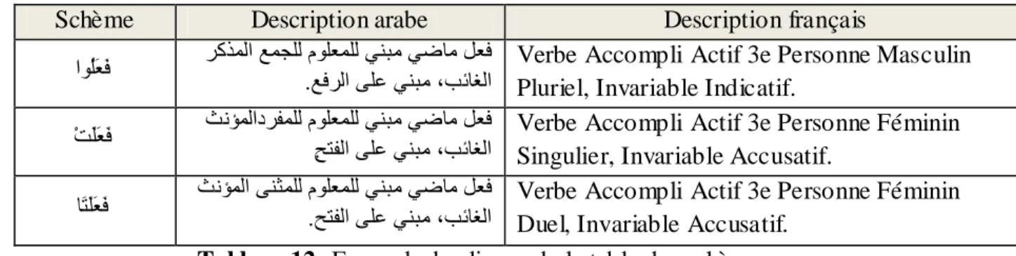 Tableau 12: Exemple des lignes de la table des schèmes 