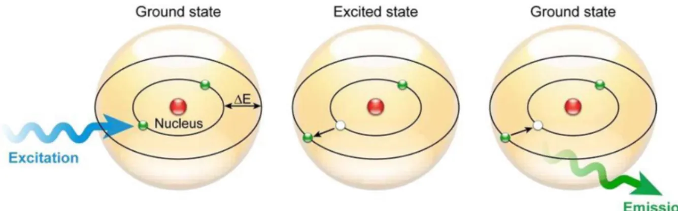 Figure 2. Schéma de principe de la fluorescence à partir du modèle atomique de Bohr. 