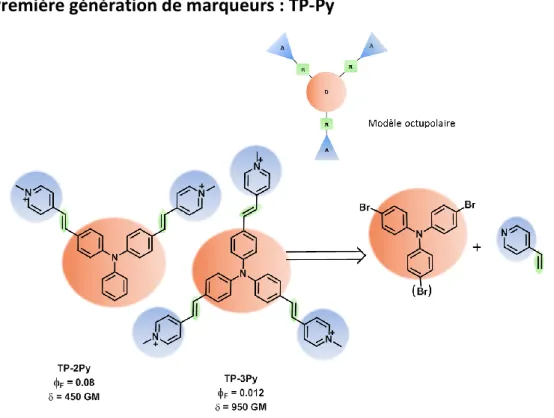 Figure 24. Structure et propriétés de la TP-2Py et la TP-3Py. 