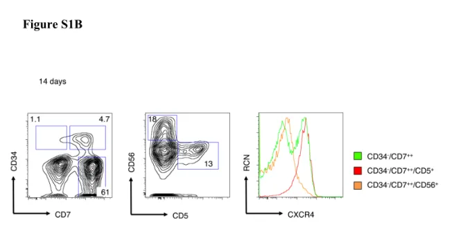 Figure  S1B:  DL-4  cells  upregulate  CD45RA  and  CXCR4  during  culture  B:  Flow  cytometric  analysis  of  surface  CXCR4  expression,  as  measured  by  gating  on  CD34 $ /CD7 ++ ,  CD34 $ /CD7 ++ /CD5 +   and  CD34 $ /CD7 ++ /CD56 + subsets