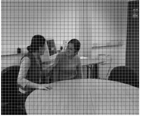 Figure 1.4: Image with 2 sampling grids. 