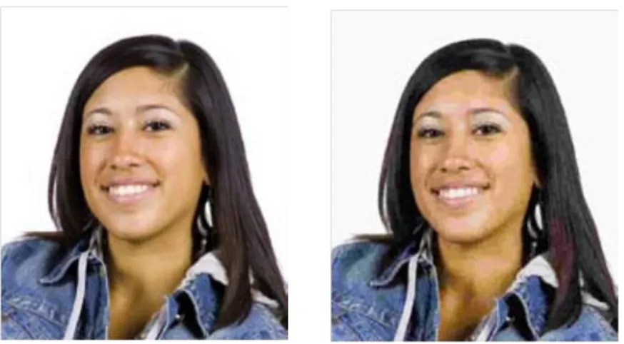 Figure 2.1: Original image (left) and JPEG compressed picture (right).