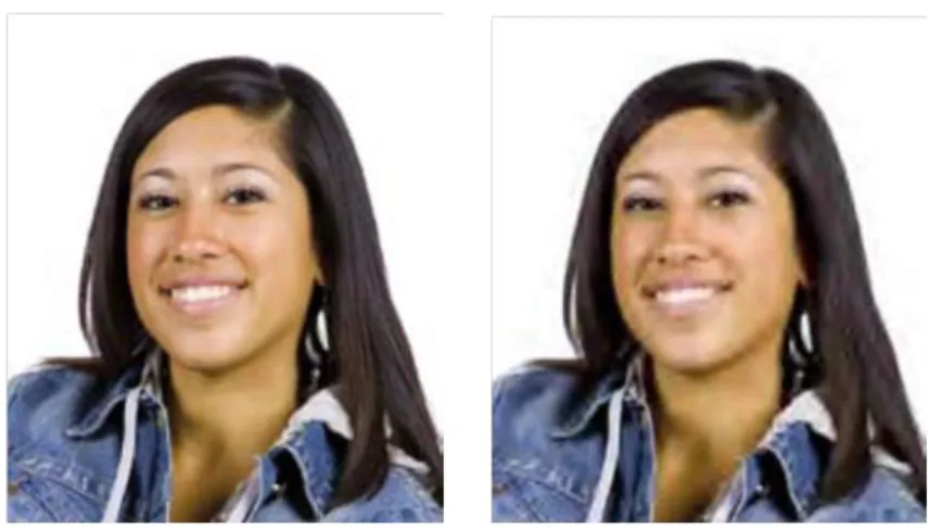 Figure 2.2: Original image (left) and JPEG 2000 compressed picture (right). 