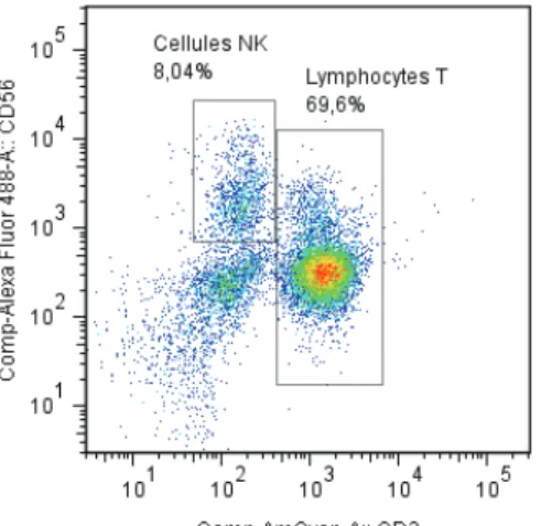 Figure 1 : Détermination des lymphocytes NK humains  en cytométrie en flux par le marquage CD3 - CD56 + 