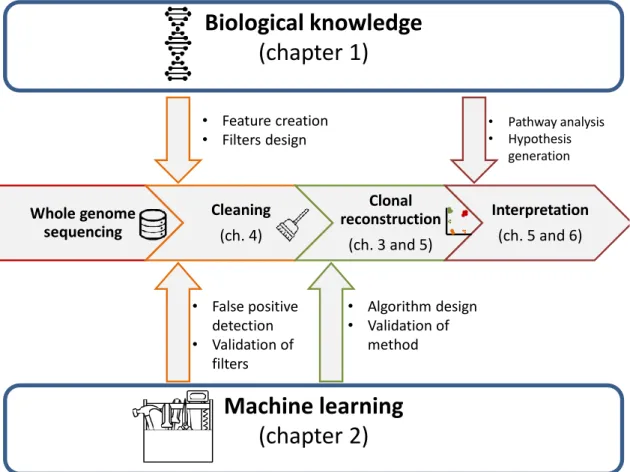 Figure 1: From data to biological results. We represent the interaction be-