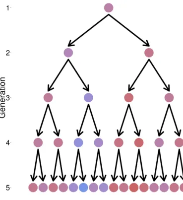 Figure 1.2: Phylogenetic tree of a cancer. Colors represent the different al-