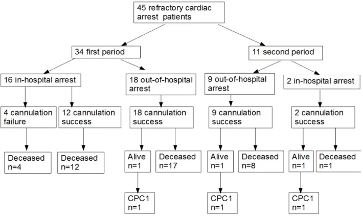 Figure 1 Flow chart of the included patients 