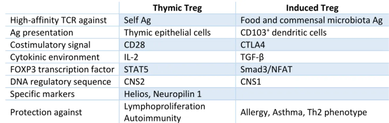 Table 2. Main characteristics of thymic and induced Tregs. 