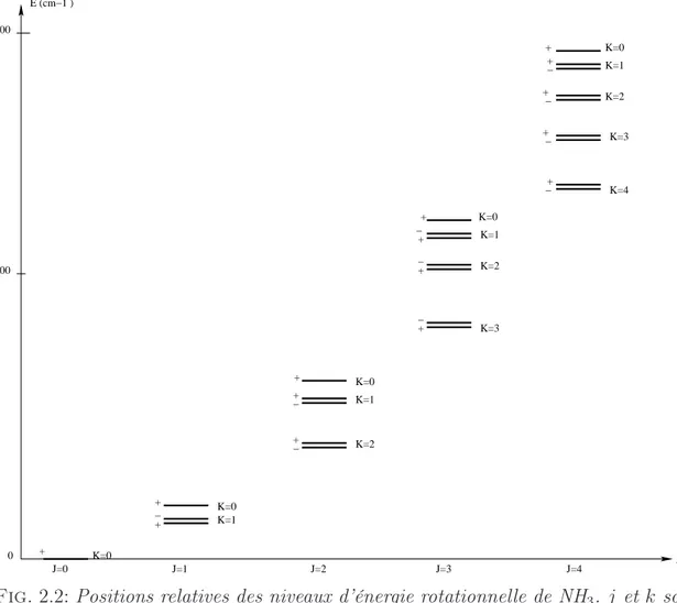 Fig. 2.2: Positions relatives des niveaux d’énergie rotationnelle de NH3. j et k sont