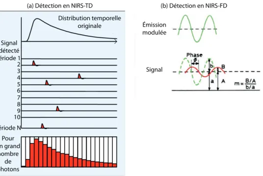 Figure 1.6 – Techniques de détection pour le NIRS-TD et le NIRS-FD : (a) Mesure du temps de parcours