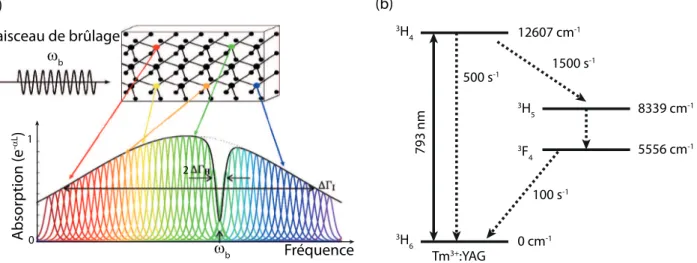 Figure 1.11 – (a) Spectre d’absorption d’un cristal présentant une raie fine de transmission créée par holebur-