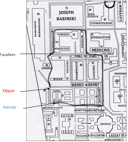 Fig 11 : plan d’un sujet contrôle sain  Codification d’un plan d’un sujet contrôle sain (ci-dessus, Figure 11) : 
