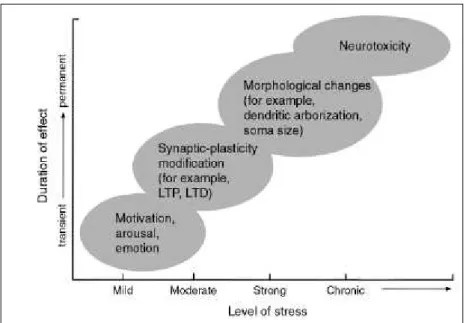 Fig 3  : effets physiologiques du stress, d‟après Kim et Al., 1998)  