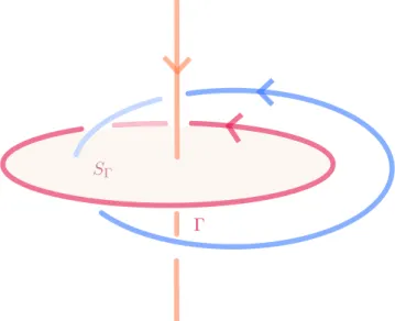 Figure 3.4 – Ici Γ n’est constituée que d’une orbite périodique du champ de Hopf. Le disque S Γ est une section de Birkhoff pour le champ de Hopf.
