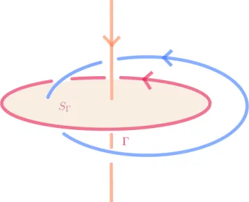 Figure 3.4 – Ici Γ n’est constituée que d’une orbite périodique du champ de Hopf. Le disque S Γ est une section de Birkhoff pour le champ de Hopf.