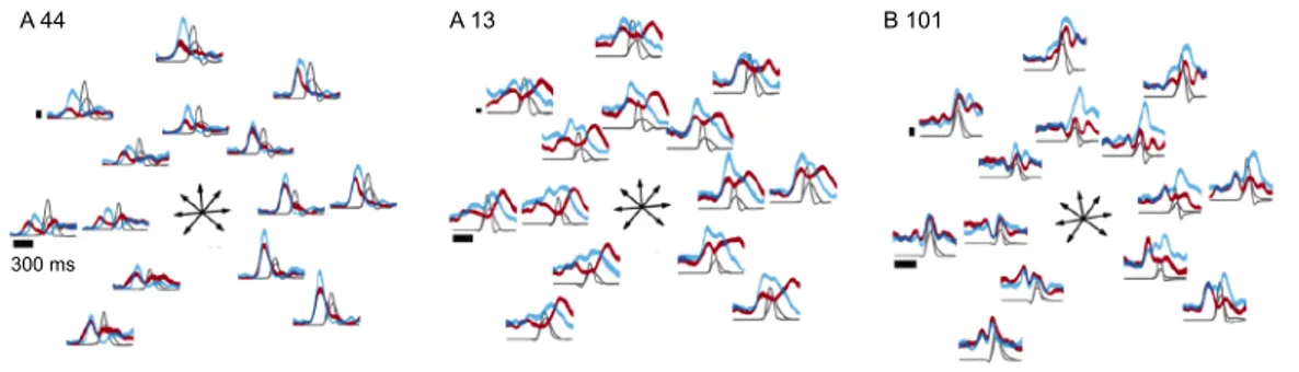 Figure 5.1: Tuning properties of three sample neurons from the motor cortex of two monkeys