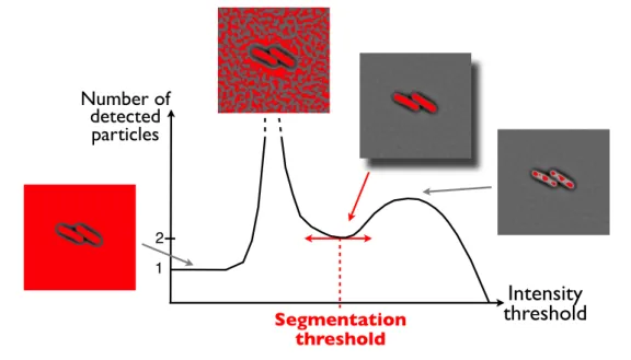 Figure 2.2 – Segmentation on correlation images.