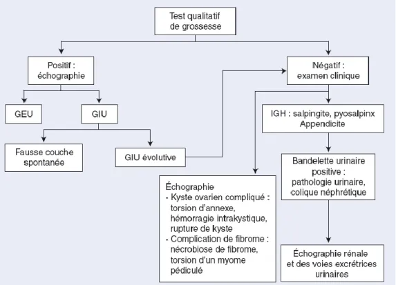 Figure 2. Algorithme décisionnel en cas d’algies pelviennes aigues. 