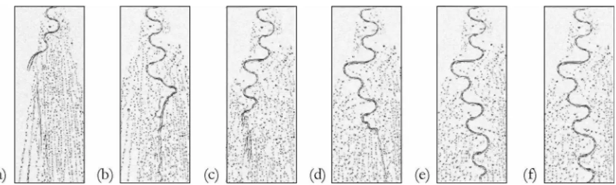Figure  III-7 :  Séquence  d’images  montrant  la  mise  en  place  d’un  méandre.  Temps  entre deux images : 1 min