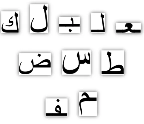 Figure 4. 2. Example images of the 10 classes used in our database. 