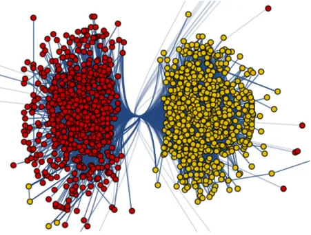 Figure 0.1 – Network of political blogs during the 2004 U.S. presidential elec- elec-tion