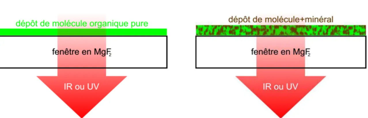 Figure 3-7 : (a)  – Schéma d’un échantillon de molécule organique pure déposée à l’aide du réacteur 