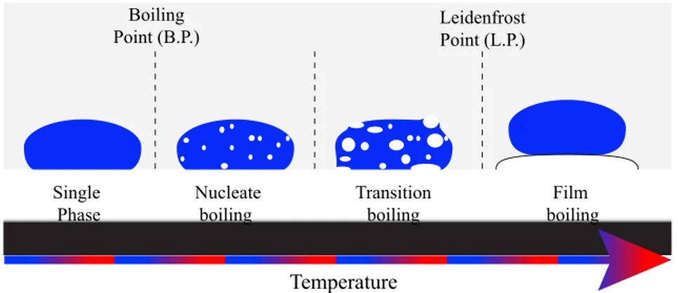 Figure I.8 – Sketch of different boiling regimes ranging from single phase to film boiling (Leidenfrost state) going through the boiling point (B.P.) and the Leidenfrost point (L.P.)
