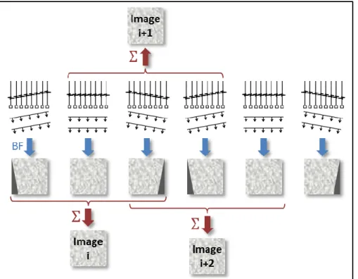 Figure 2.6 – Mode d’imagerie ultrarapide multi-angle (compound cohérent) illustrée pour N=3 angles  différents