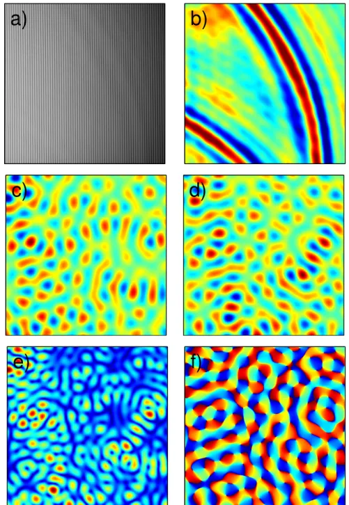 Figure 1.3: A typical fringe pattern recorded by the camera (a) and a corresponding surface