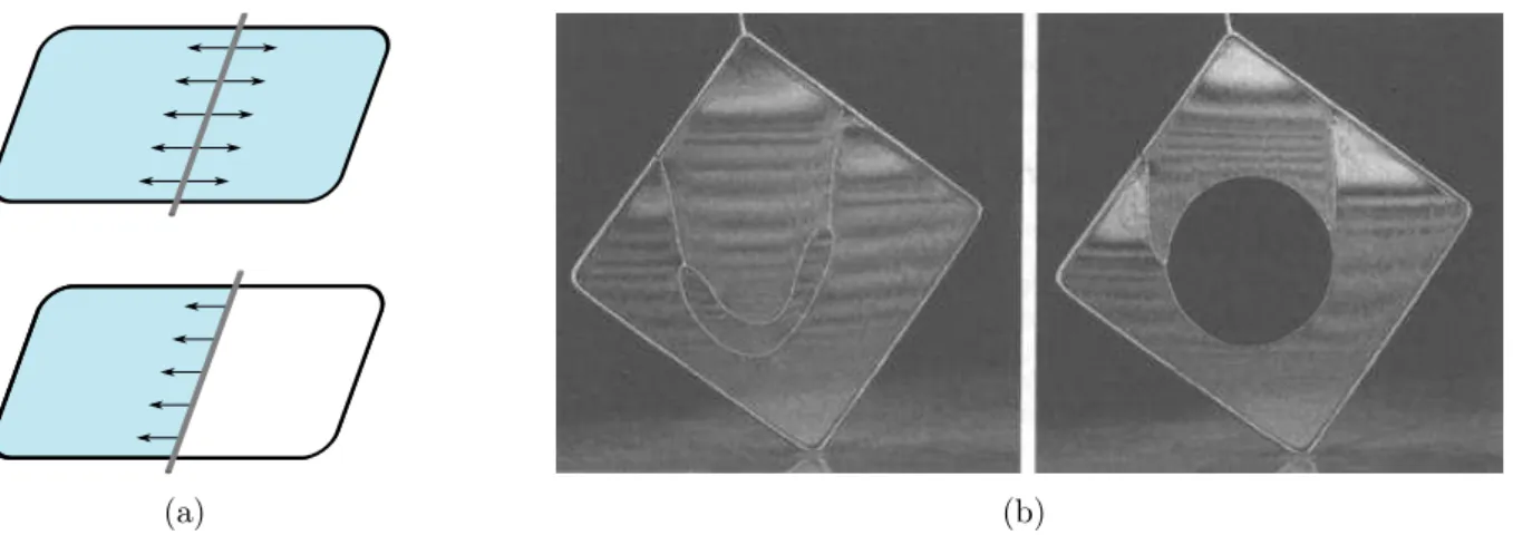 Figure 2 – La tension de surface correspond à une force de tension au niveau de l’interface liquide-air