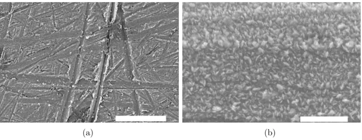 Figure 2.8 – Images au microscope à balayage du substrat B. On distingue les rayures dues au polissage de la surface (a) et des structures semblables à des dentrites à plus petite échelle (b)