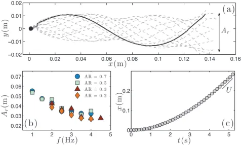 FIG. 2. Kinematics of the undulating foil. (a) Superposed envelopes from a typical video tracking