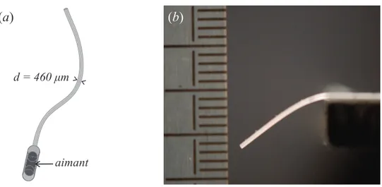 Figure 4.4(a)). Ils sont réalisés à partir d’un élastomère (le polyvynil syloxane), ob- ob-tenu après mélange d’une base et d’un catalyseur liquide