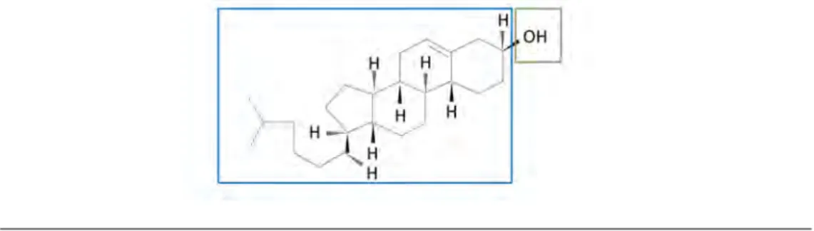 Figure 3.4: Cholestérol. Les stérols sont des lipides un peu particuliers. Leurs parties hydrophobes est complétement disproportionnées comparées à leurs têtes hydrophiles.