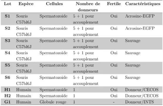 Table 4.1: Récapitulatif des différents groupes en fonction de l’espèce, du type cellu- cellu-laire et du nombre de donneurs.
