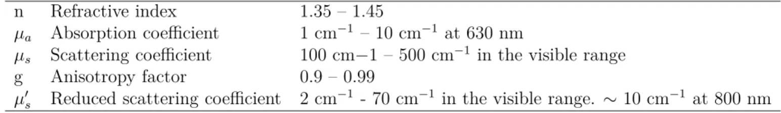 Table 1.1 – Table of the typical optical properties of human tissues (taken from [16])