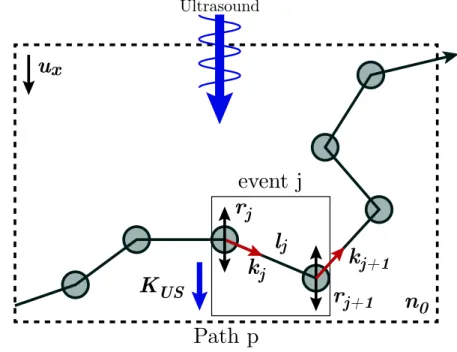 Figure 2.4 – Schematic of the formalism used for the light modulation derivation. For a given path p, the position of the j th scatterer is denoted r